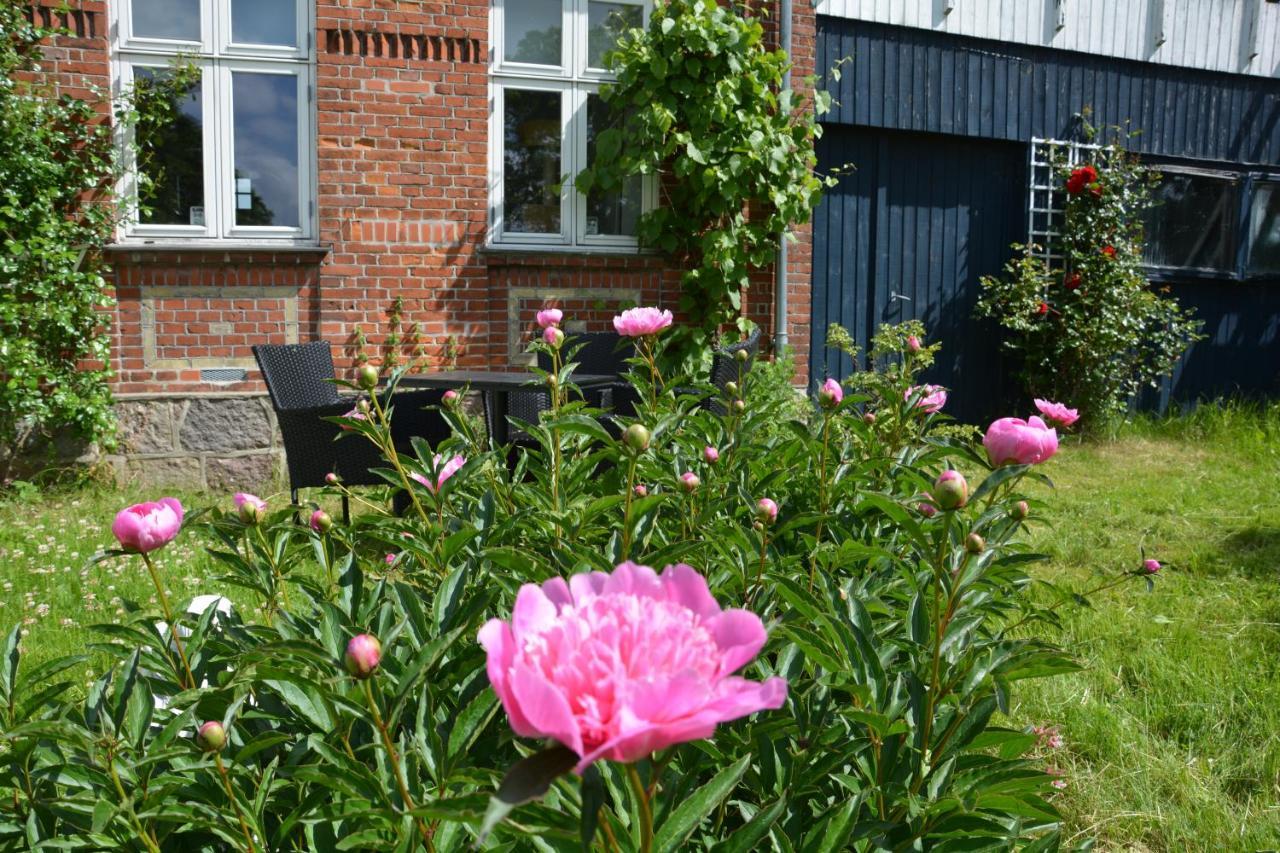 Kirkely Bed And Breakfast Vester Ulslev Luaran gambar